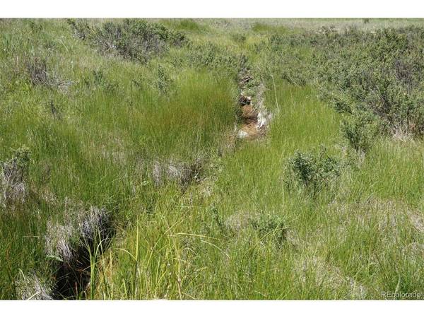 321 Forest, Lake George, CO 80827