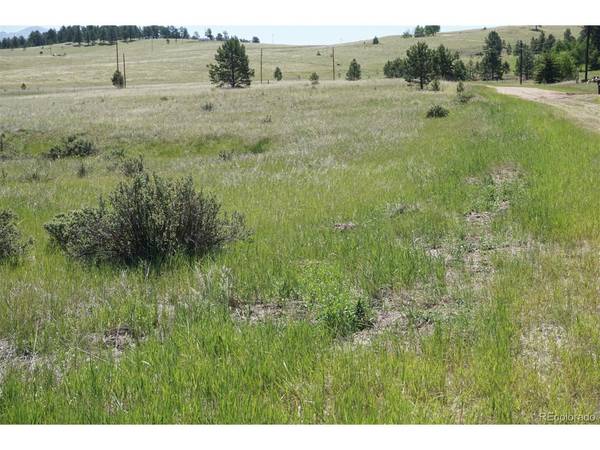 321 Forest, Lake George, CO 80827