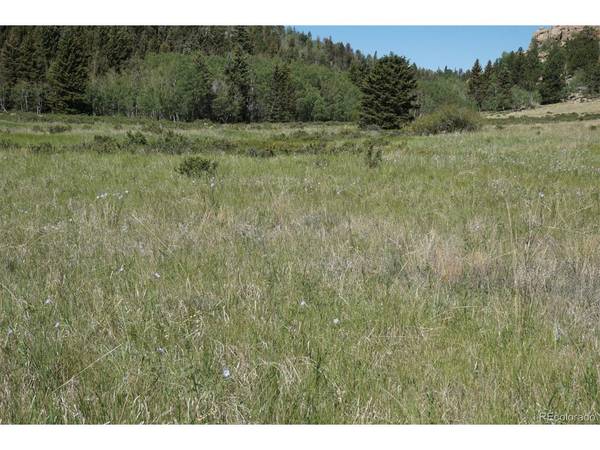 321 Forest,  Lake George,  CO 80827