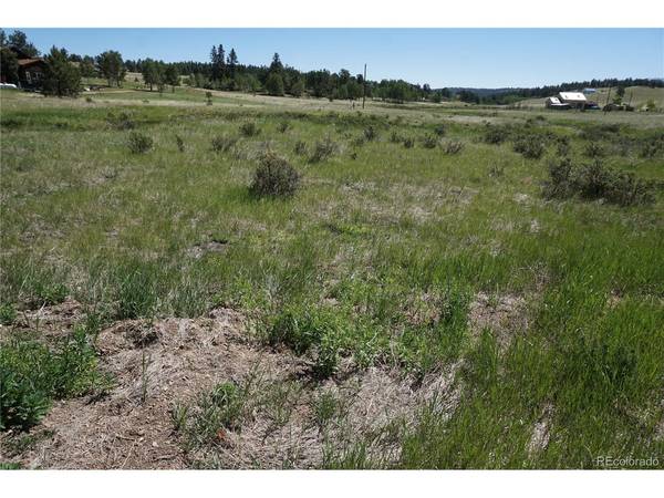 321 Forest, Lake George, CO 80827