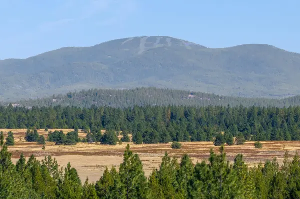 NKA E Slaton Rd #Lot 40, Deer Park, WA 99006