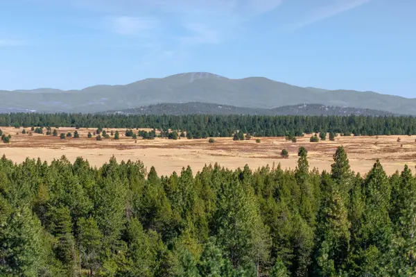 NKA E Slaton Rd #Lot 41, Deer Park, WA 99006