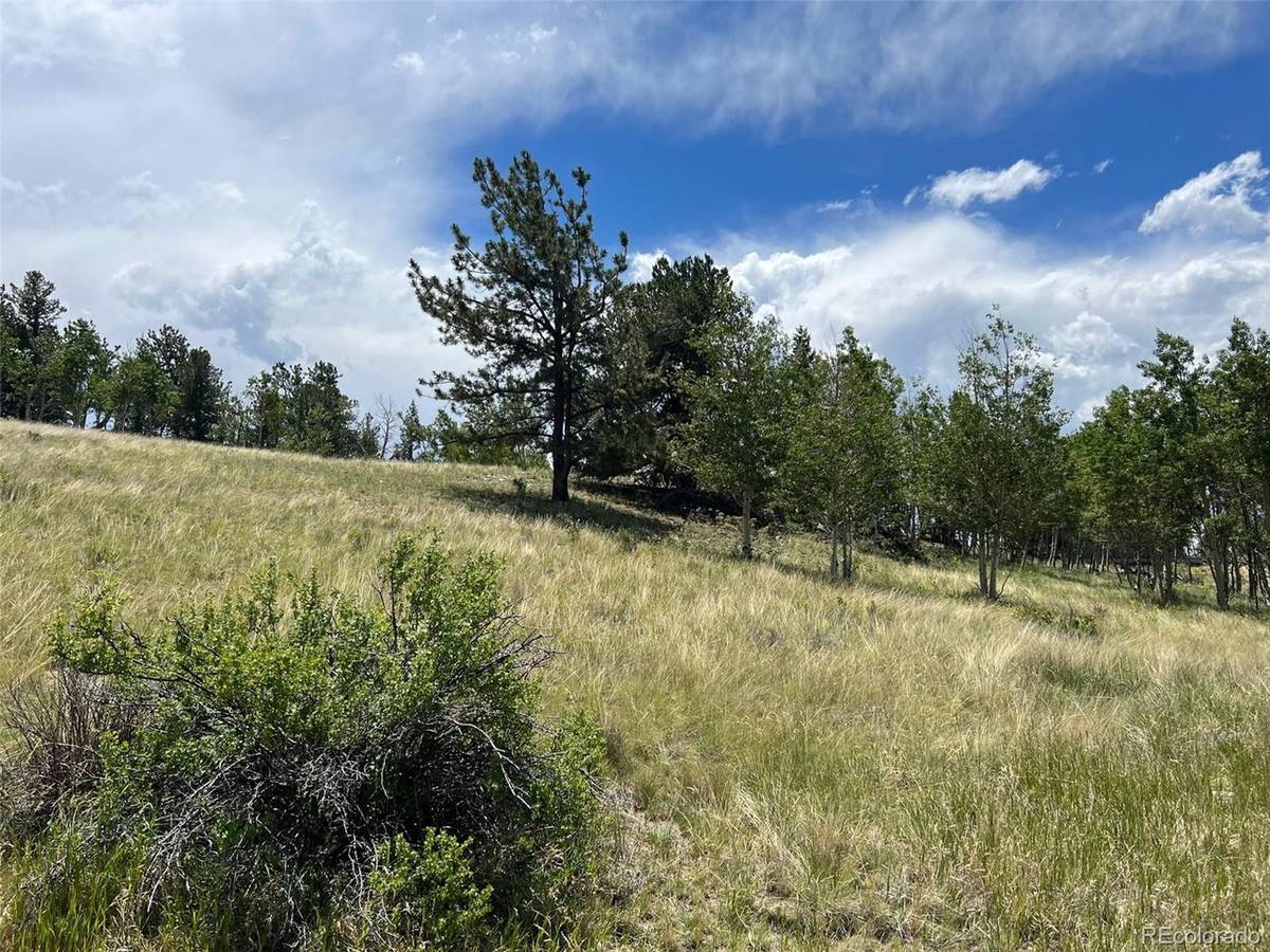 338 Topaz, Lake George, CO 80827