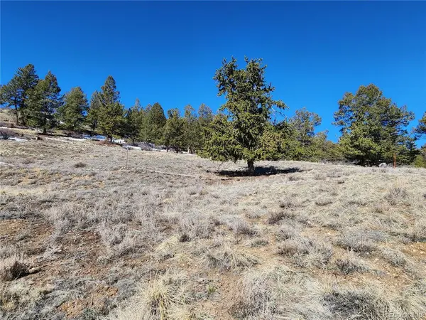 Spruce, Hartsel, CO 80449
