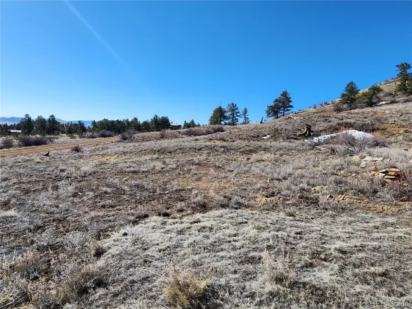 Spruce, Hartsel, CO 80449