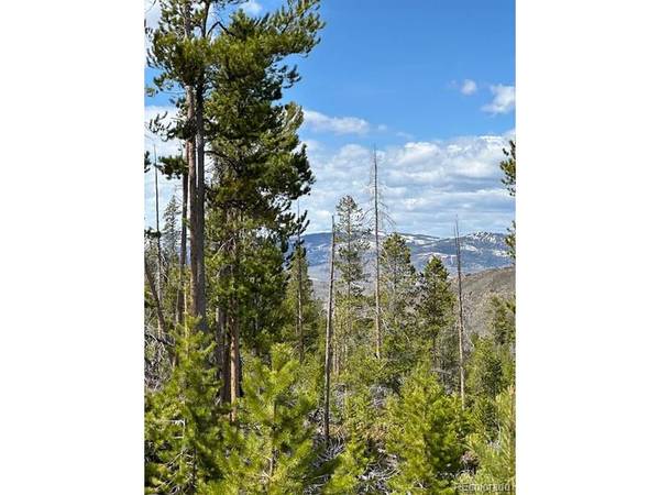 25 GCR 6325, Granby, CO 80446