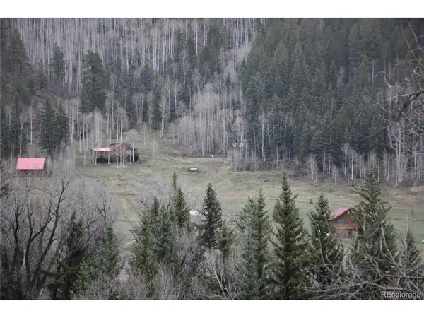 Blue Spruce, Dolores, CO 81323