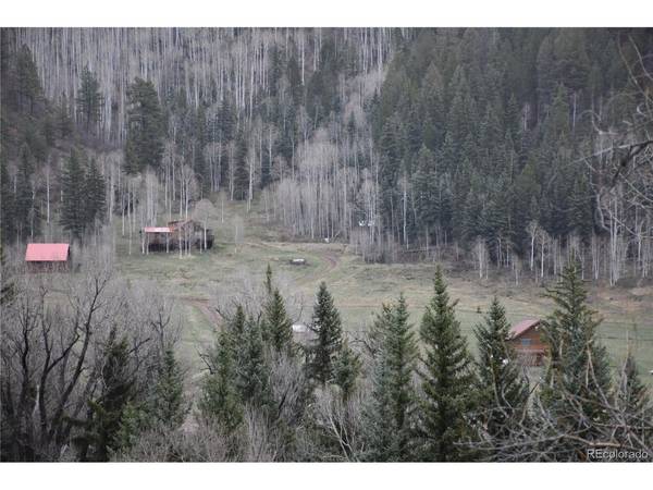 Blue Spruce, Dolores, CO 81323