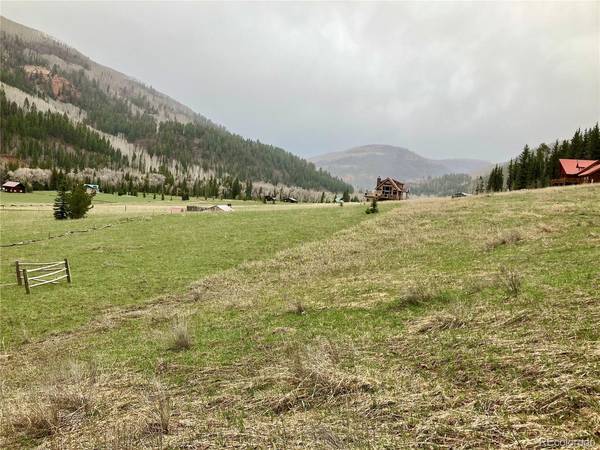 Blue Spruce, Dolores, CO 81323