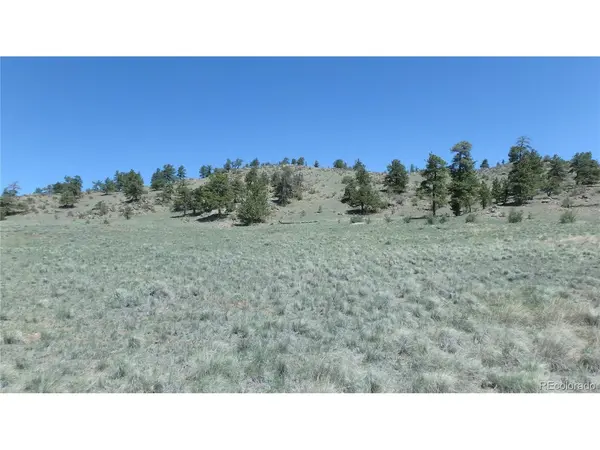 185 Campfire, Hartsel, CO 80449