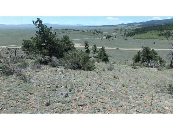 185 Campfire, Hartsel, CO 80449
