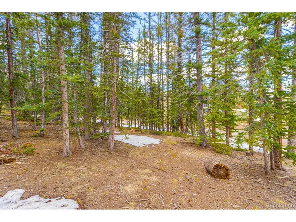 402 Silvermoon, Divide, CO 80814