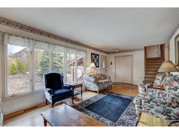 212 CR 1040, Frisco, CO 80443