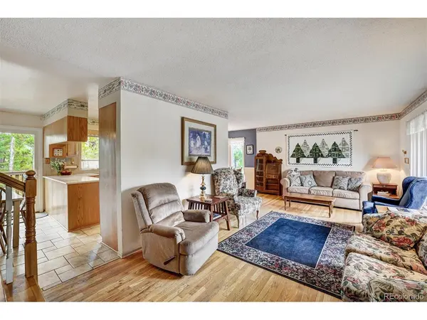 212 CR 1040, Frisco, CO 80443