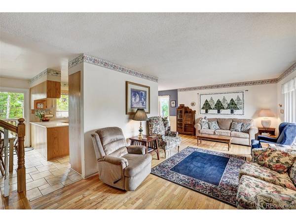 212 CR 1040, Frisco, CO 80443