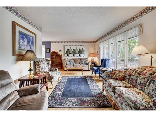 212 CR 1040, Frisco, CO 80443
