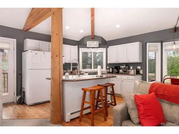 753 County Road 830 #4, Fraser, CO 80442