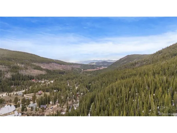 266 Davis, Breckenridge, CO 80424