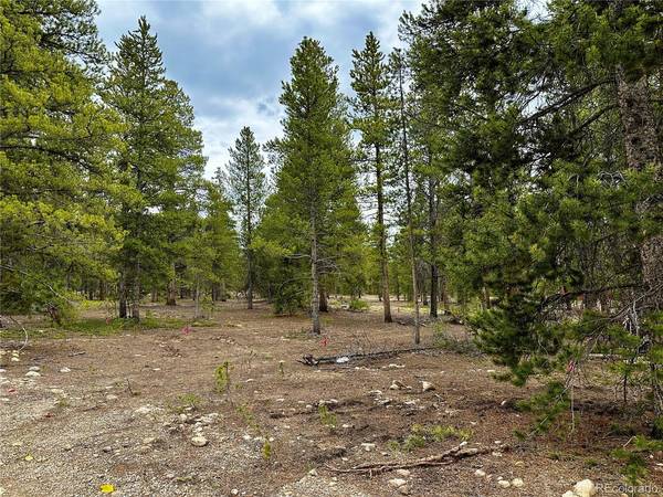 1740 Four Seasons,  Leadville,  CO 80461