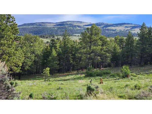 285 Merlo, Fort Garland, CO 81133