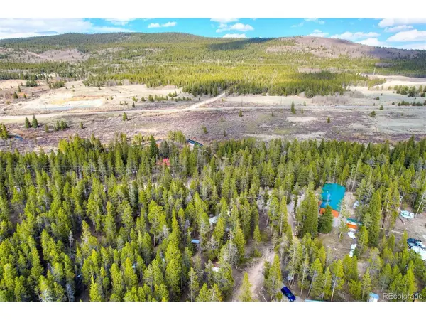 111 Pine, Alma, CO 80420