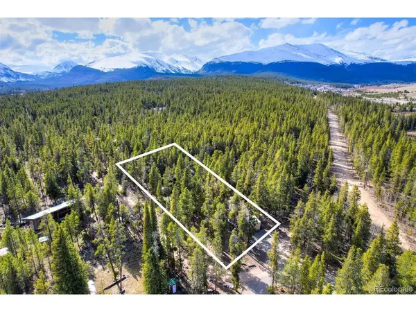 111 Pine, Alma, CO 80420