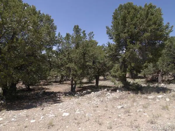 3678 Enchanted, Crestone, CO 81131