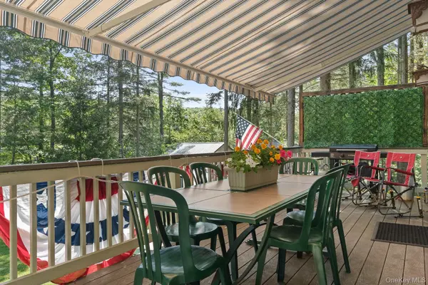 41 West Shore DR, Deposit, NY 13754
