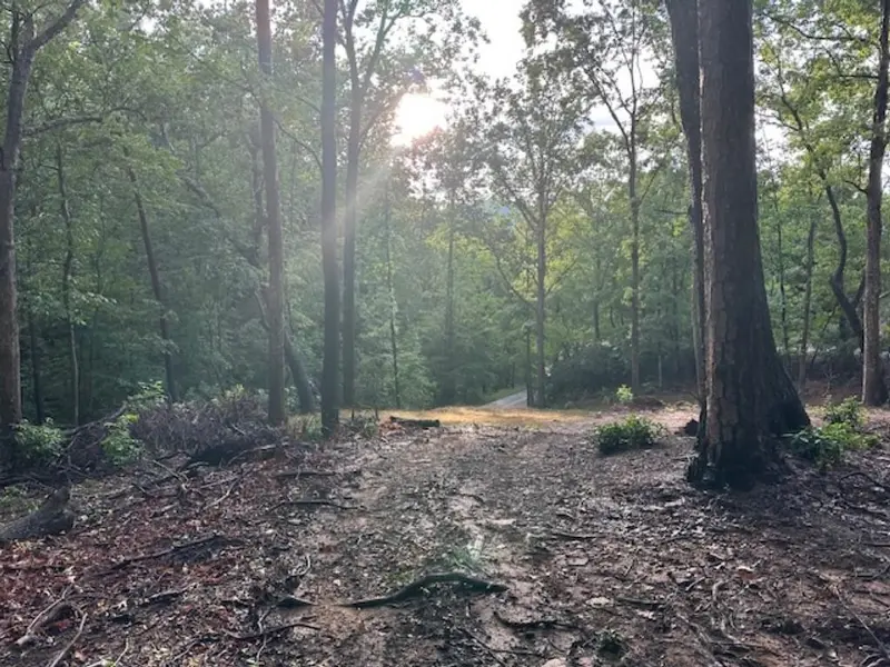 00 E LAKESHORE DR, Landrum, SC 29356
