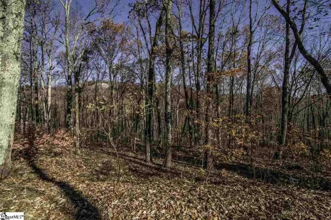 16 Windswept LN, Travelers Rest, SC 29690