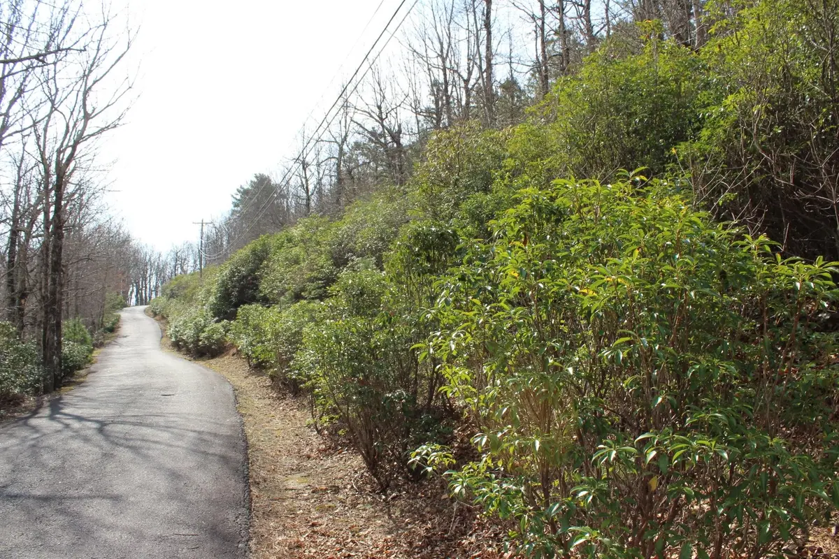 Lot 9 Sunset Ridge DR, Columbus, NC 28722
