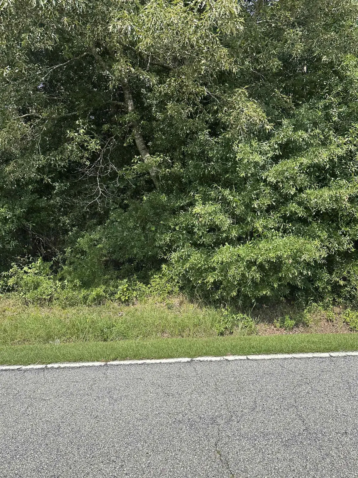Old Buncombe RD, Union, SC 29379