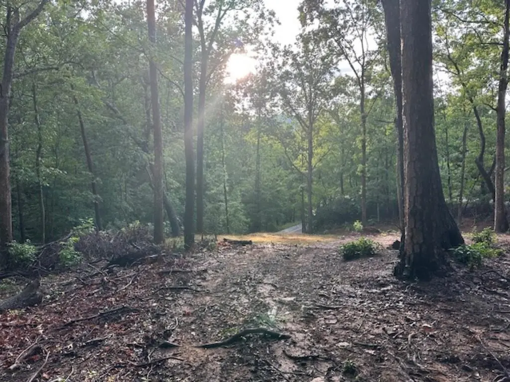 00 E LAKESHORE DR, Landrum, SC 29356