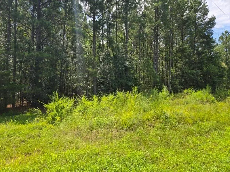 00 Shrine Club RD, Waterloo, SC 29384
