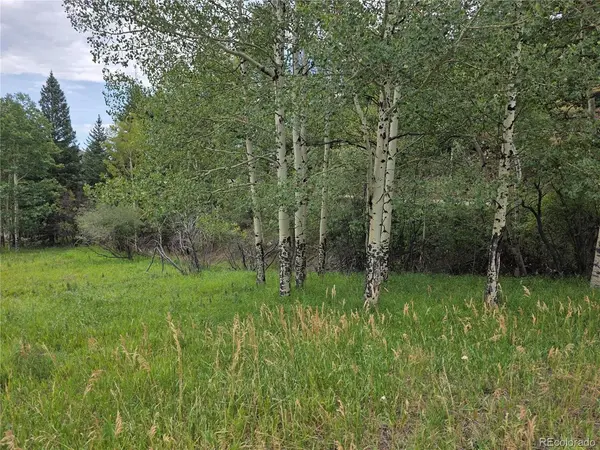 0 Hyland, Evergreen, CO 80439