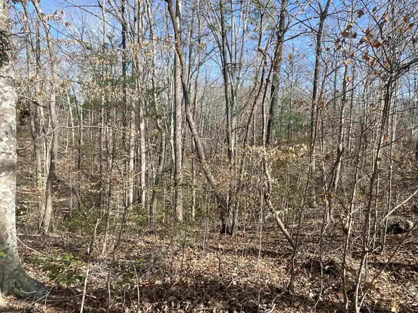 161 Little River Trail, Indian Land, SC 29720