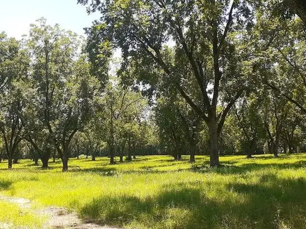 6092 Old Calhoun Falls RD, Calhoun Falls, SC 29628