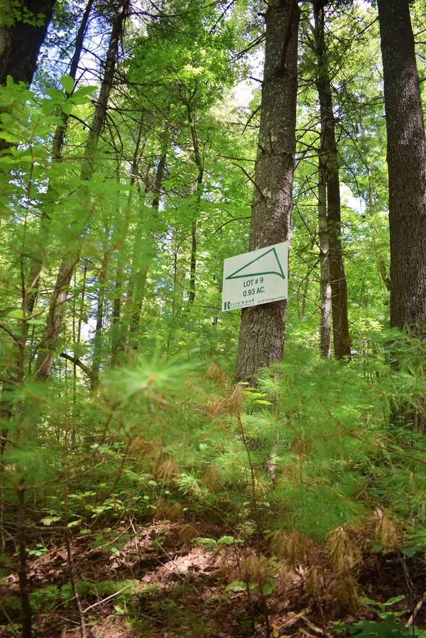 0 Never Blue RD, Flat Rock, NC 28731