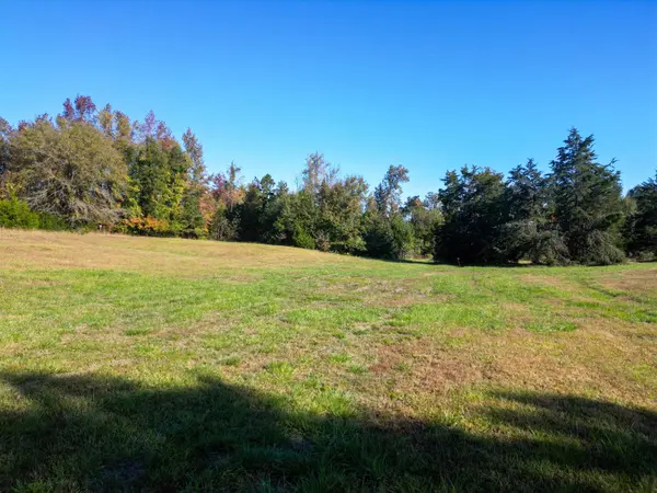TBD Mudbridge RD, Buffalo, SC 29321