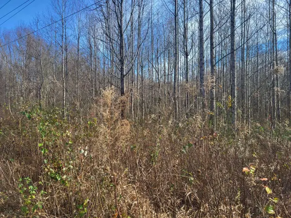 00 Tugaloo RD, Landrum, SC 29356
