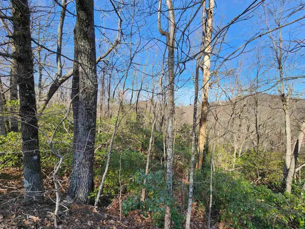 Lot 22 Sunset Ridge DR, Columbus, NC 28722