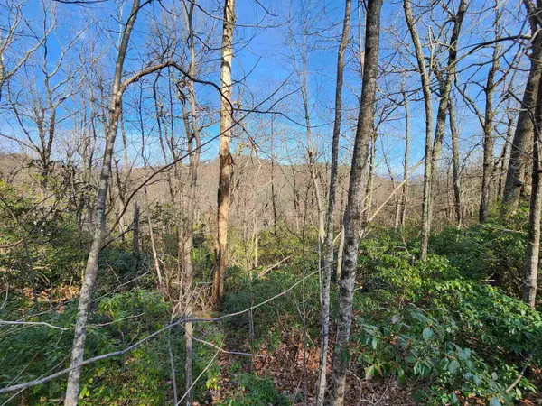 Lot 22 Sunset Ridge DR, Columbus, NC 28722