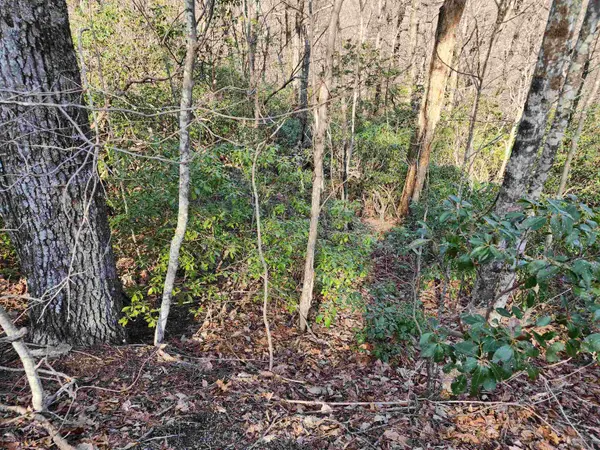 Lot 22 Sunset Ridge DR, Columbus, NC 28722
