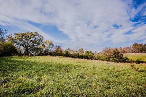 0 Perrine RD, Gaffney, SC 29341-9999