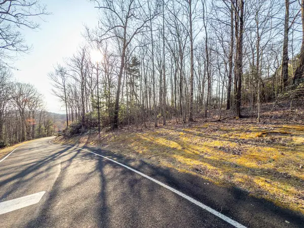 2 Park Green WAY, Landrum, SC 29356