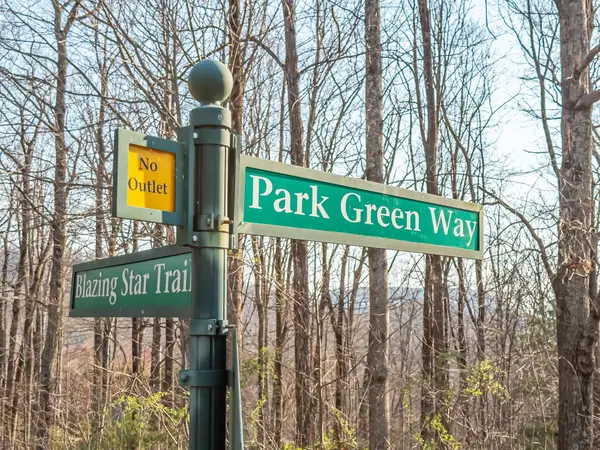 2 Park Green WAY, Landrum, SC 29356