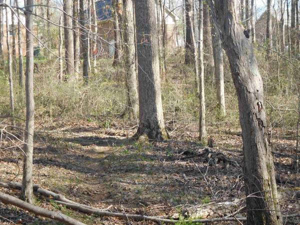 0 Hampton Drive, Gaffney, SC 29341