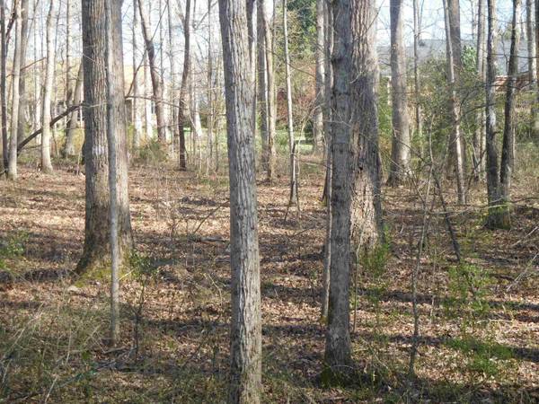 0 Hampton Drive, Gaffney, SC 29341