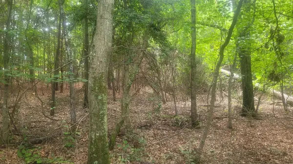 1429 Casey Creek rd, Chesnee, SC 29323
