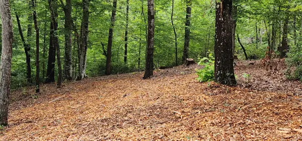 Lot 3 S Cross Creek TRL, Mill Spring, NC 28756
